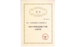 中國科技創(chuàng)新產(chǎn)學(xué)研示范單位